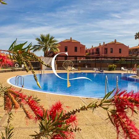 Apartment Amarillo Arona (Tenerife)
